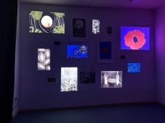 An einer Wand hängen verschiedenen beleuchtete Kunstwerke.